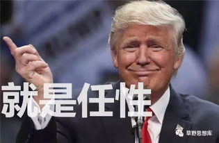 特朗普被指操纵股票市场，疑点梳理与真相探寻