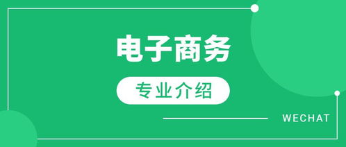 电子商务专业课如何复习